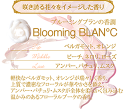 BloomingBLANC -ボディパールパウダー-